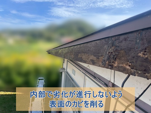 破風板内部でカビが進行しないように表面のカビを削った